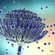 ¿Cuál es la causa de la Aspergilosis?