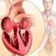 ¿Por qué hay diferencia en el grosor de las paredes de las cavidades cardiacas?