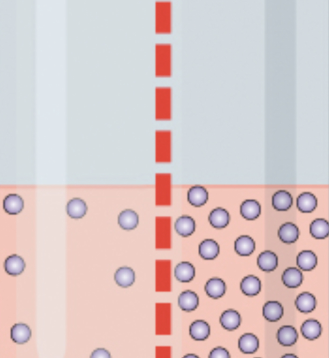 ¿Qué es el efecto Donnan?
