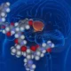 ¿Qué causa la deficiencia de vasopresina?