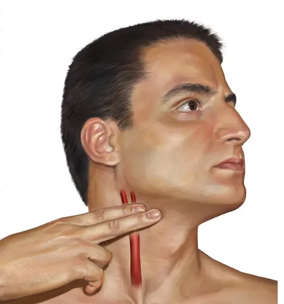 ¿Qué es la anatomía clínica?