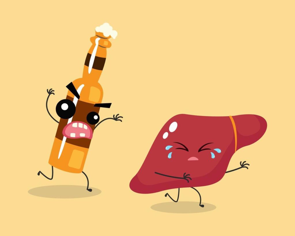 El alcohol altera el funcionamiento del hígado