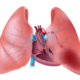 tromboembolia pulmonar