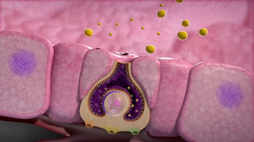 Uso de los inhibidores de la bomba de protones