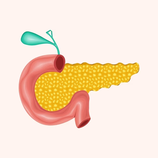 Secrecion externa del páncreas