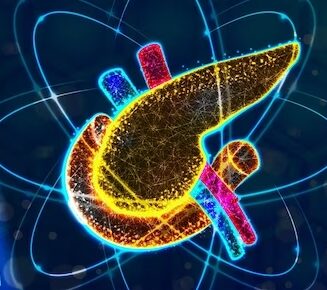 Secreción interna del páncreas