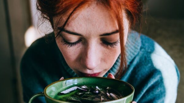 ¿Qué son las plantas medicinales? ¿Qué son las plantas medicinales?