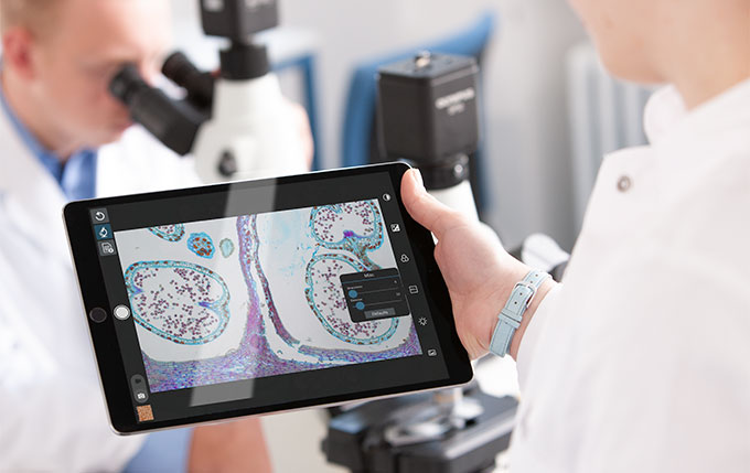 Microscopía virtual