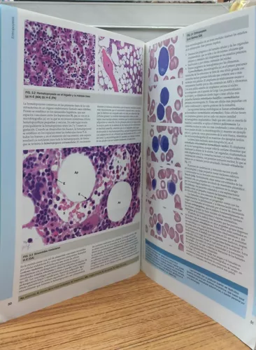 5 libros de histología muy útiles