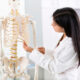 5 consejos para aprender anatomía