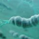 H. pylori como factor de riesgo para adenocarcinoma