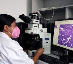 ¿Qué componentes perduran después de una fijación de tejido?