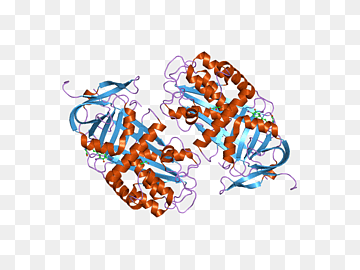 Globulinas del plasma