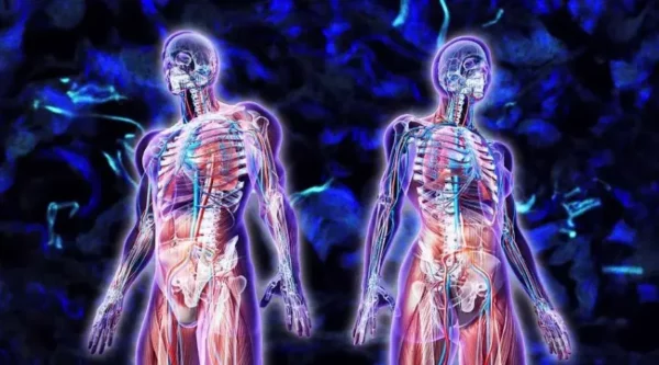 ¿Qué estudia la fisiología humana?