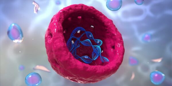 ¿Donde se encuentra el genoma de las células?