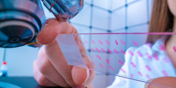 ¿Cuál es el objetivo de un curso de histología?