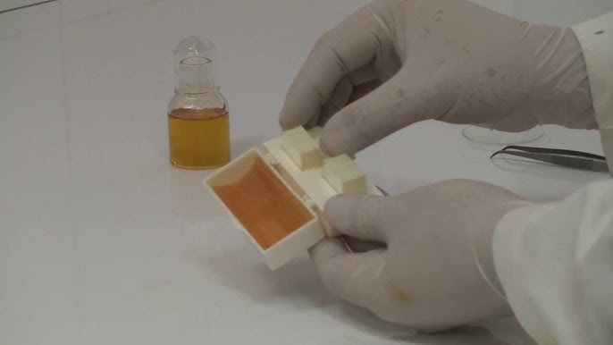 El tetróxido de osmio como fijador