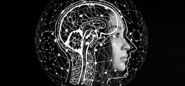 El cerebro alberga la mente y la consciencia