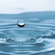 Valor biológico del agua