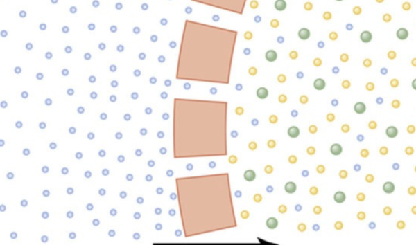 ¿Qué es la osmolalidad?