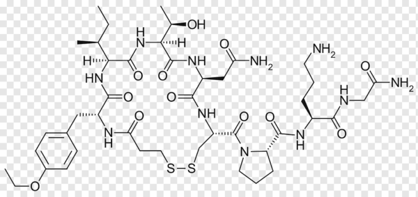 ¿Cuál es la vida media de la vasopresina?