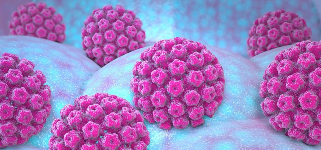 La investigación sobre la infección por el virus del papiloma humano ha sido un hito en la medicina moderna. Ha permitido la prevención de enfermedades graves, como el cáncer cervicouterin