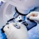 La patología como ciencia médica