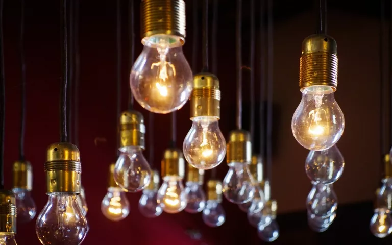 La diversidad de pensamiento como fuente de aprendizaje