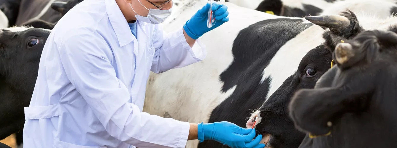 Manifestaciones clínicas de la fiebre Q aguda