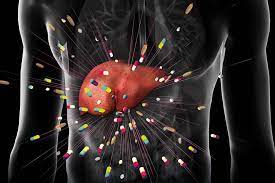 Papel del hígado en la degradación de fármacos y toxinas