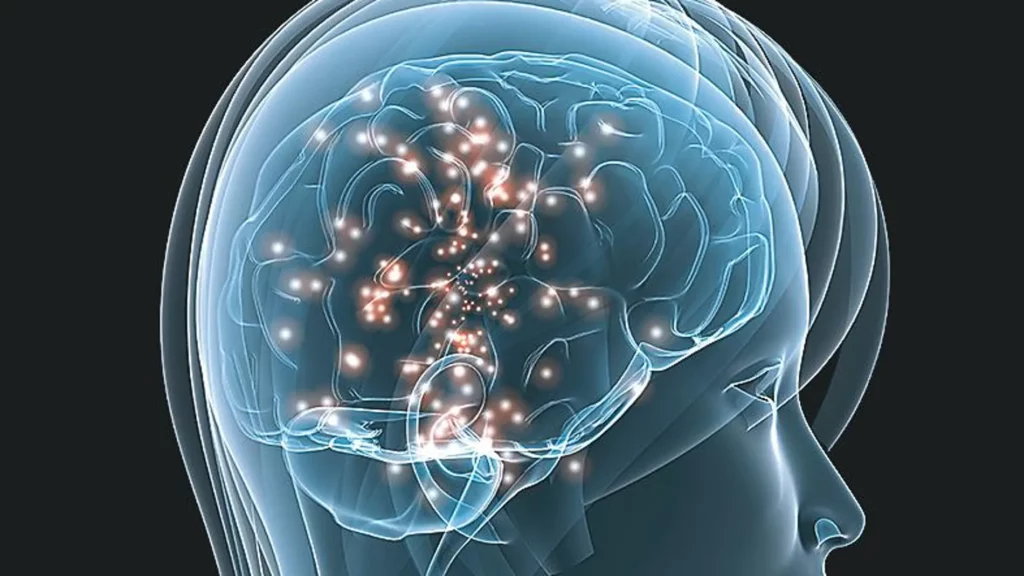 Adicción: circuito neurológico de la recompensa