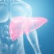¿Qué vitaminas se convierten y almacenan en el hígado?