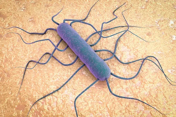 Listeriosis