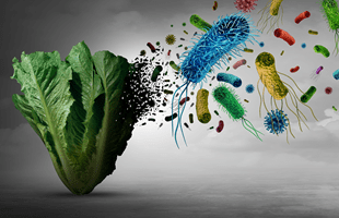 ¿Qué personas estan en riesgo de contraer listeriosis?