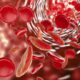 Efectos del alcohol sobre el sistema hematopoyético