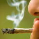 Efectos del consumo de marihuana