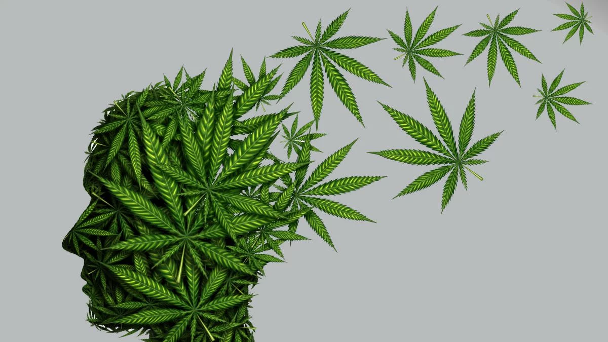 Efectos del consumo de marihuana