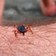 Tratamiento de la tularemia