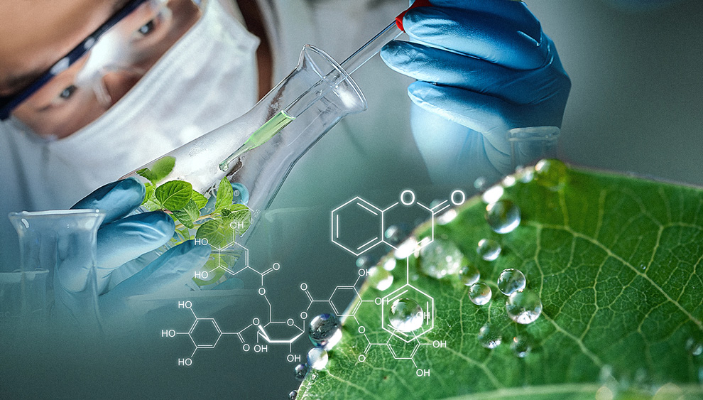 Productos naturales: ¿medicamentos o suplementos dietéticos? Productos naturales: ¿medicamentos o suplementos dietéticos?