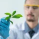 Productos naturales: ¿medicamentos o suplementos dietéticos?