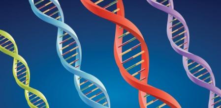 Variantes de un solo nucleótido y otras variantes menores