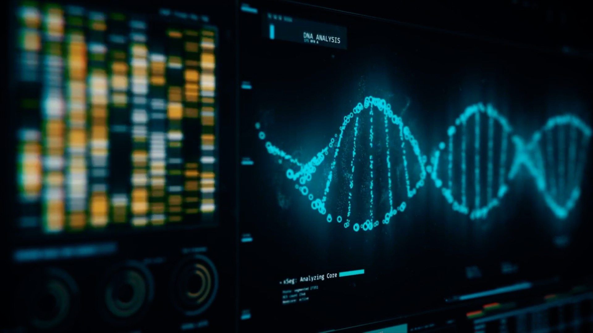 ¿Qué son los retrotransposones?