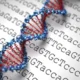 ¿Qué son los retrotransposones?
