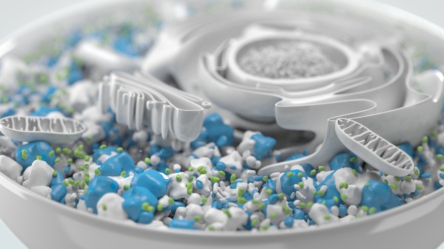 Utilidad de la proteómica en la medicina