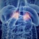 Alteraciones del cortisol en la insuficiencia suprarrenal