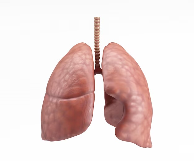 ¿Qué color tienen los pulmones?