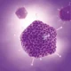 Síndromes asociados a enterovirus 71