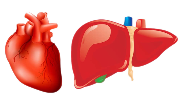 Hepatitis isquémica o hipóxica