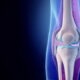 ¿Cuál es la función del sistema articular?