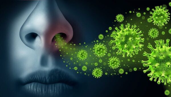 Etiología de la influenza o gripe